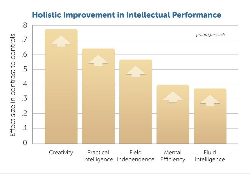 E6-Holistic-Improv-Intellectual-Perf